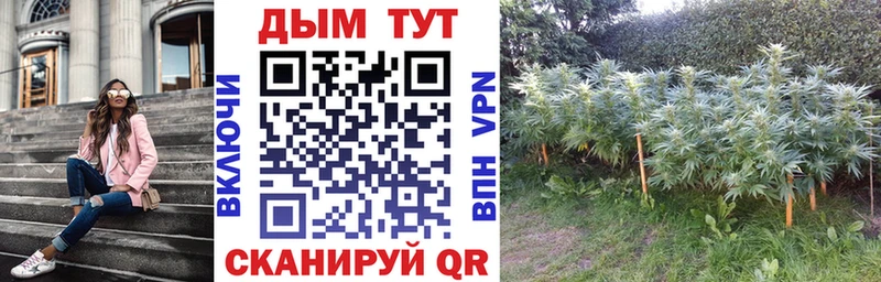 Наркошоп купить КОКАИН  Бутират  МЕФ  ГАШ  Каннабис  Первомайск