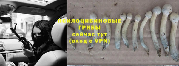 Альфа ПВП Аркадак