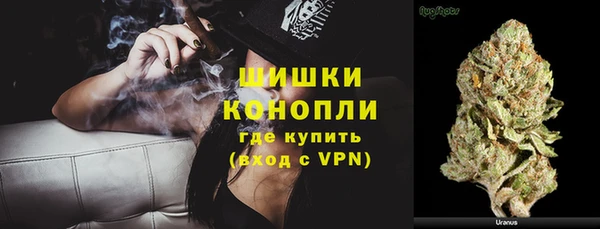 Альфа ПВП Аркадак