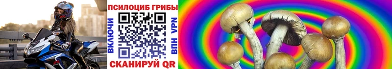 Псилоцибиновые грибы Magic Shrooms  Купить  Первомайск 